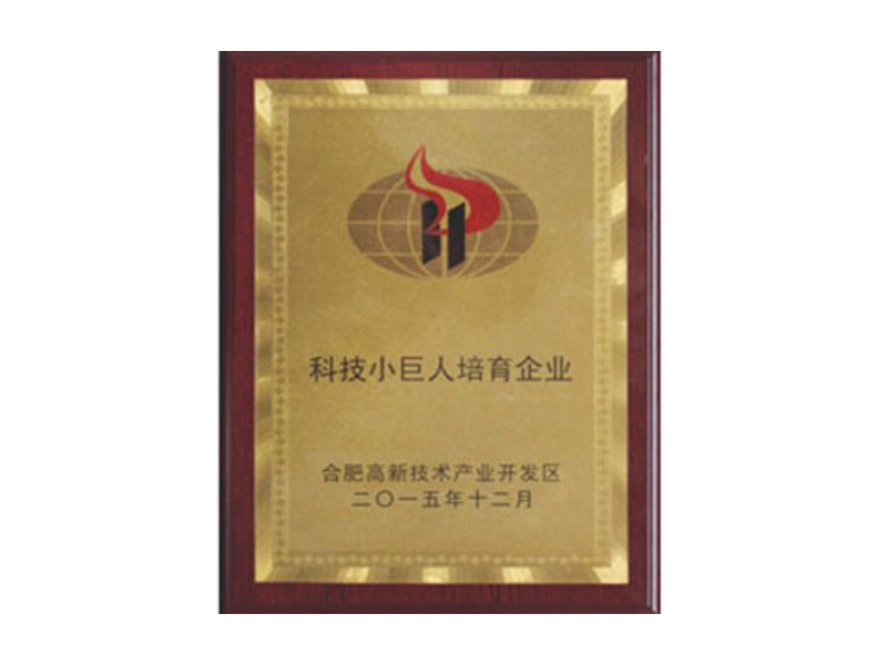 企業(yè)榮譽(yù)-合肥燕美新材料,合肥燕美新材料科技有限公司-家電行業(yè)粉末涂料,汽車粉末預(yù)料,MDF粉末涂料